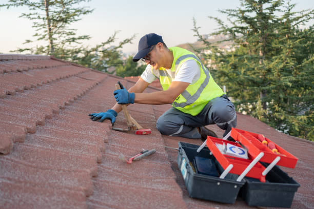 Best Local Roofing Companies  in Diamond Ridge, AK