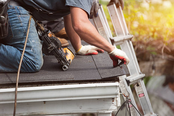 Best Metal Roofing Contractor  in Diamond Ridge, AK
